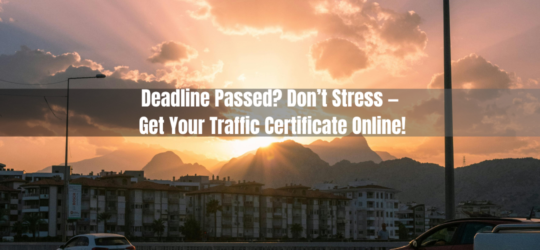 Missed Your Traffic Course? Here’s the Shortcut Texans Swear By